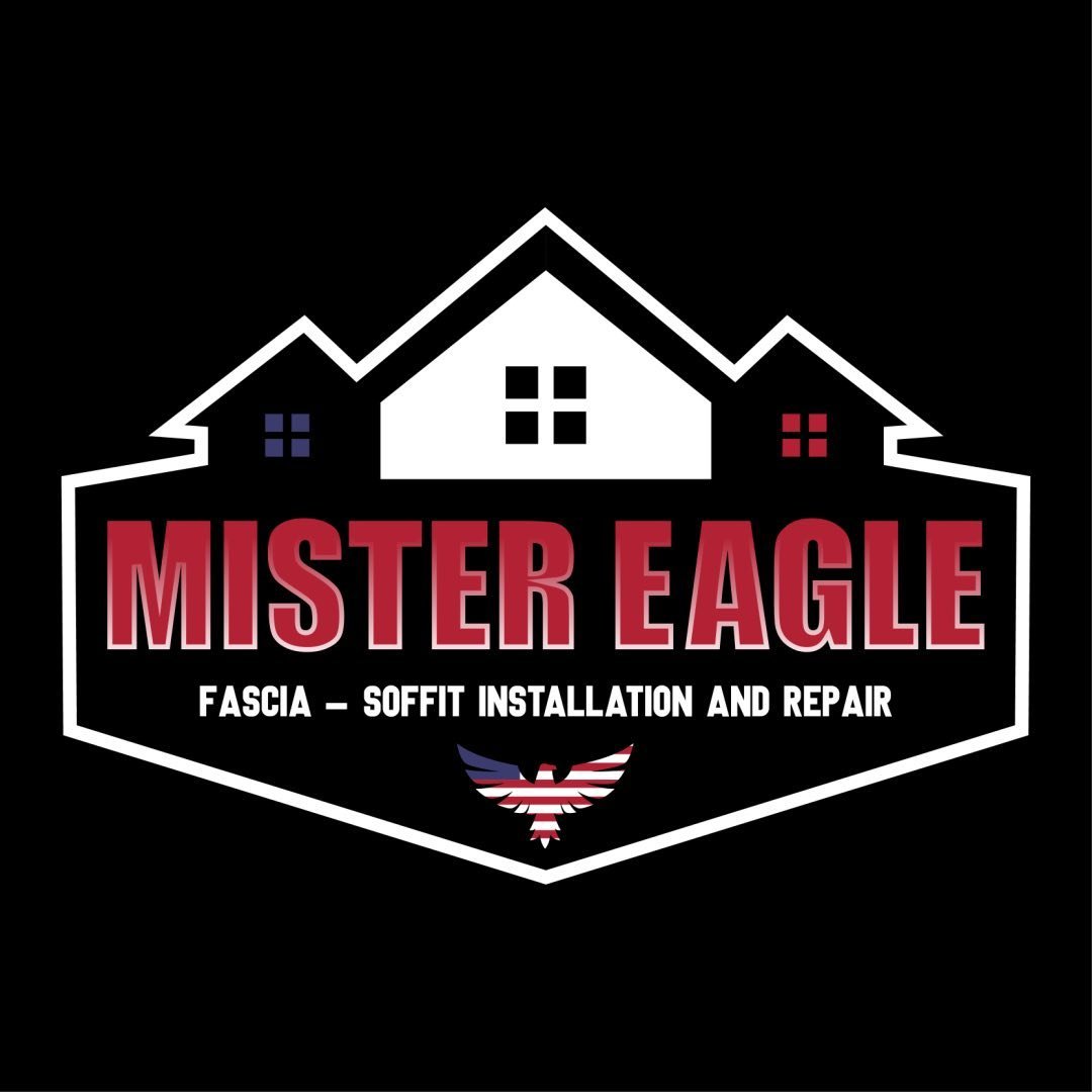 Mister Eagles of IT